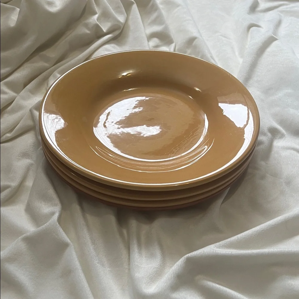 Pottery Barn Sausalito 4 Dinner Plates each 12 Inches each